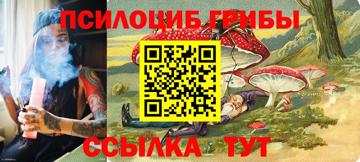 Псилоцибиновые грибы Psilocybe  наркотики  Шатура  Вход с VPN 